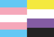 Trans-Nonbinary Trans-Nonbinary